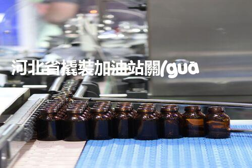 河北省撬裝加油站關(guān)鍵技術(shù)突破！化工廠拆除工程的新方法探索？